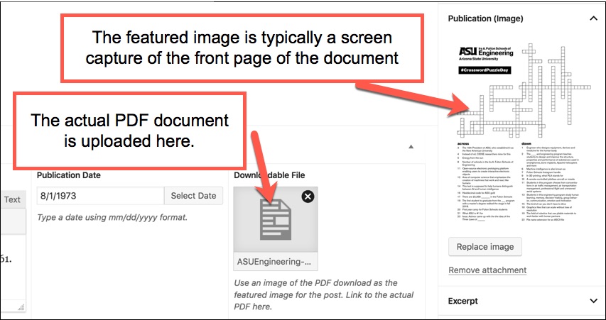 Screen shot: Detail shot of the admin area and where you upload either the PDF or image of the downloadable document.